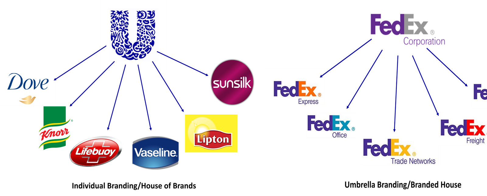 Umbrella Branding Leveraged Growth